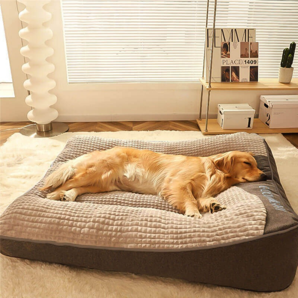 Orthopedic Dog Bed