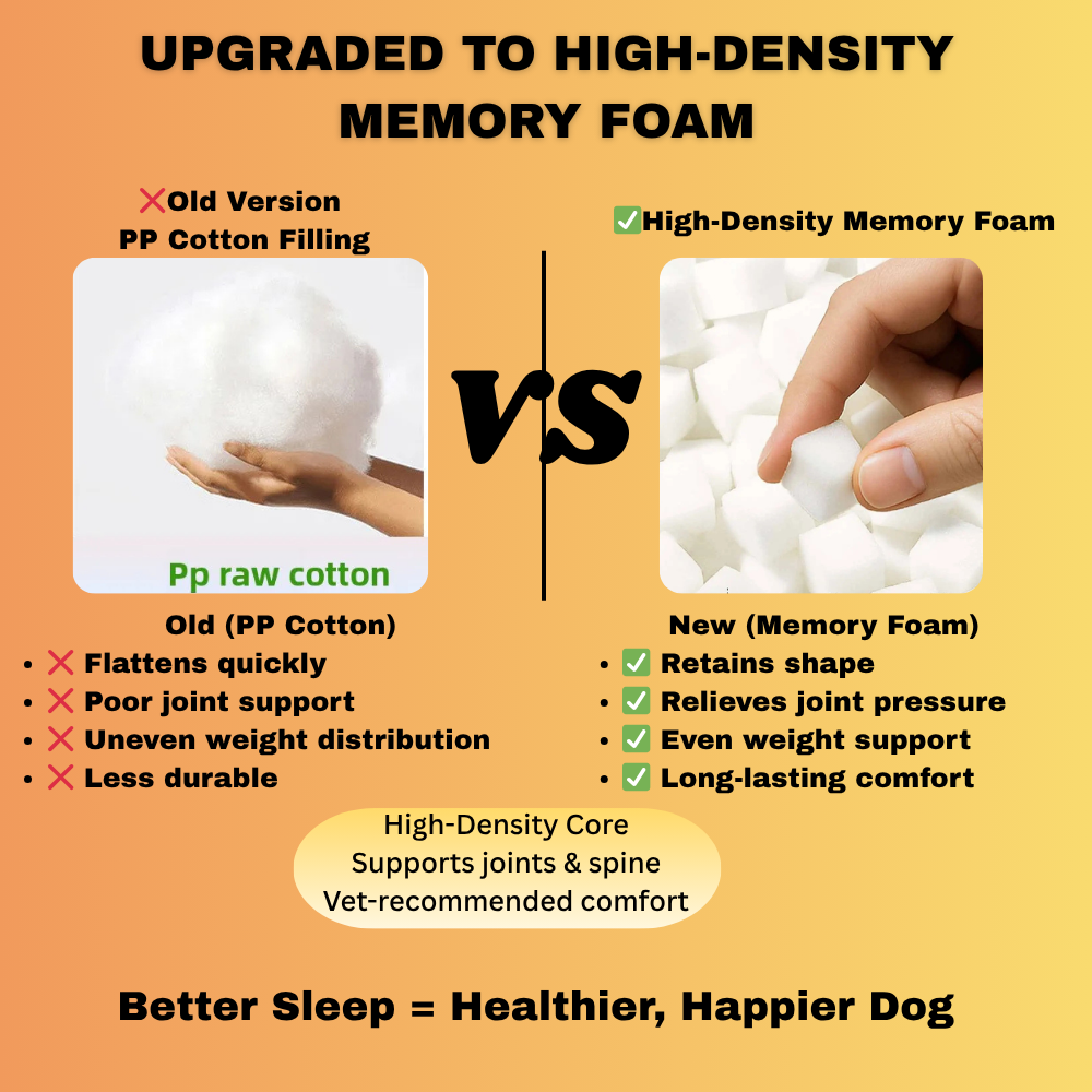 Orthopedic Dog Bed