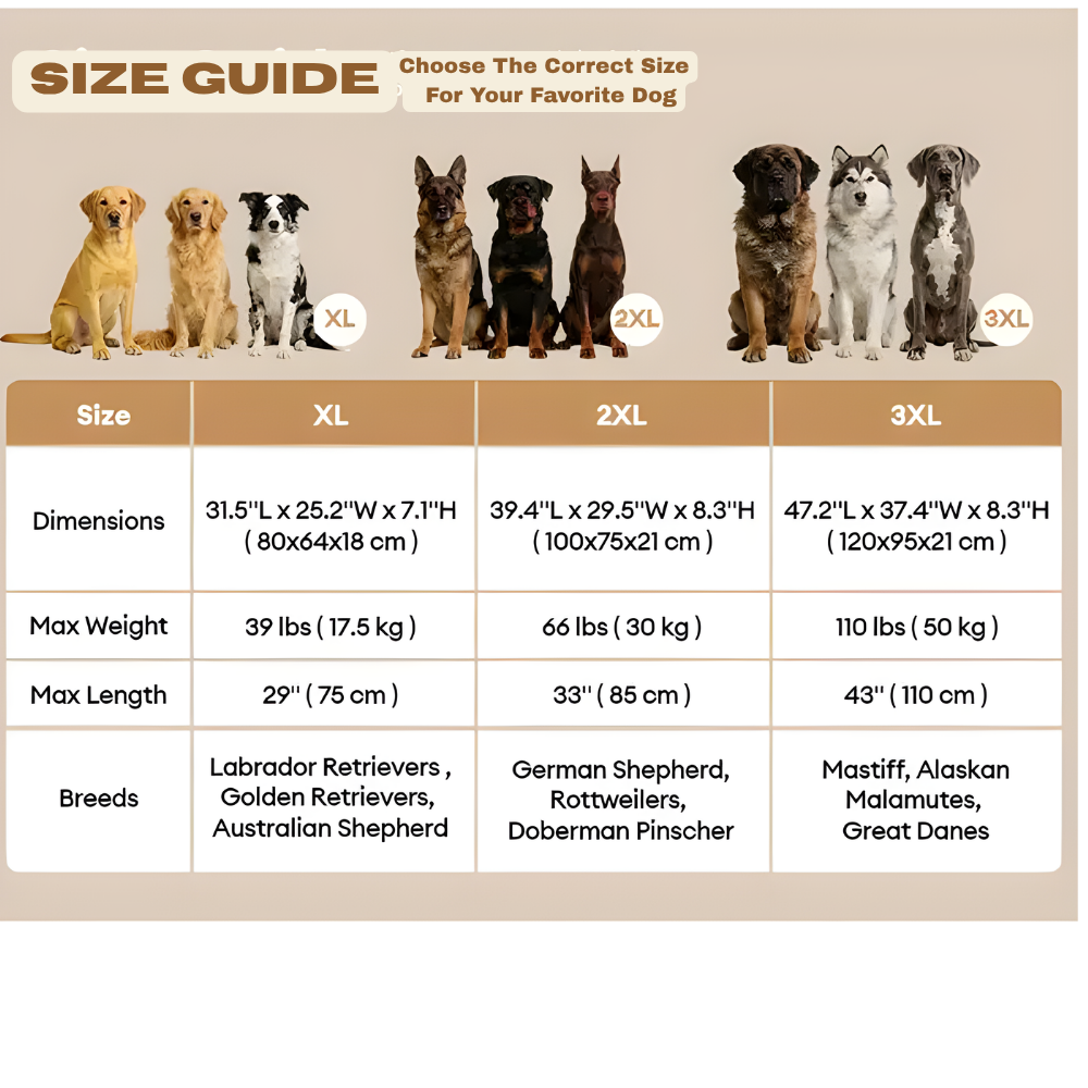Orthopedic Dog Bed