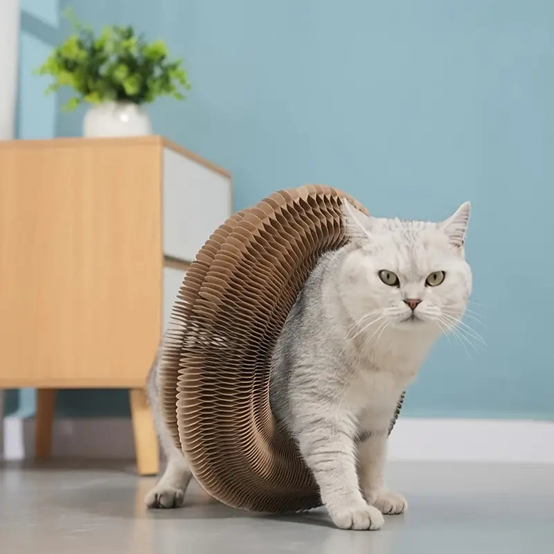 PawtCool Whisker Wonders – Interactive Cardboard Cat Scratching Post Toy