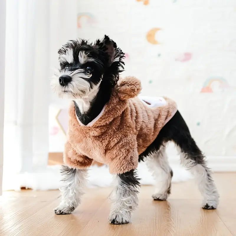 PawtCool Teddy Bear Pet Costume
