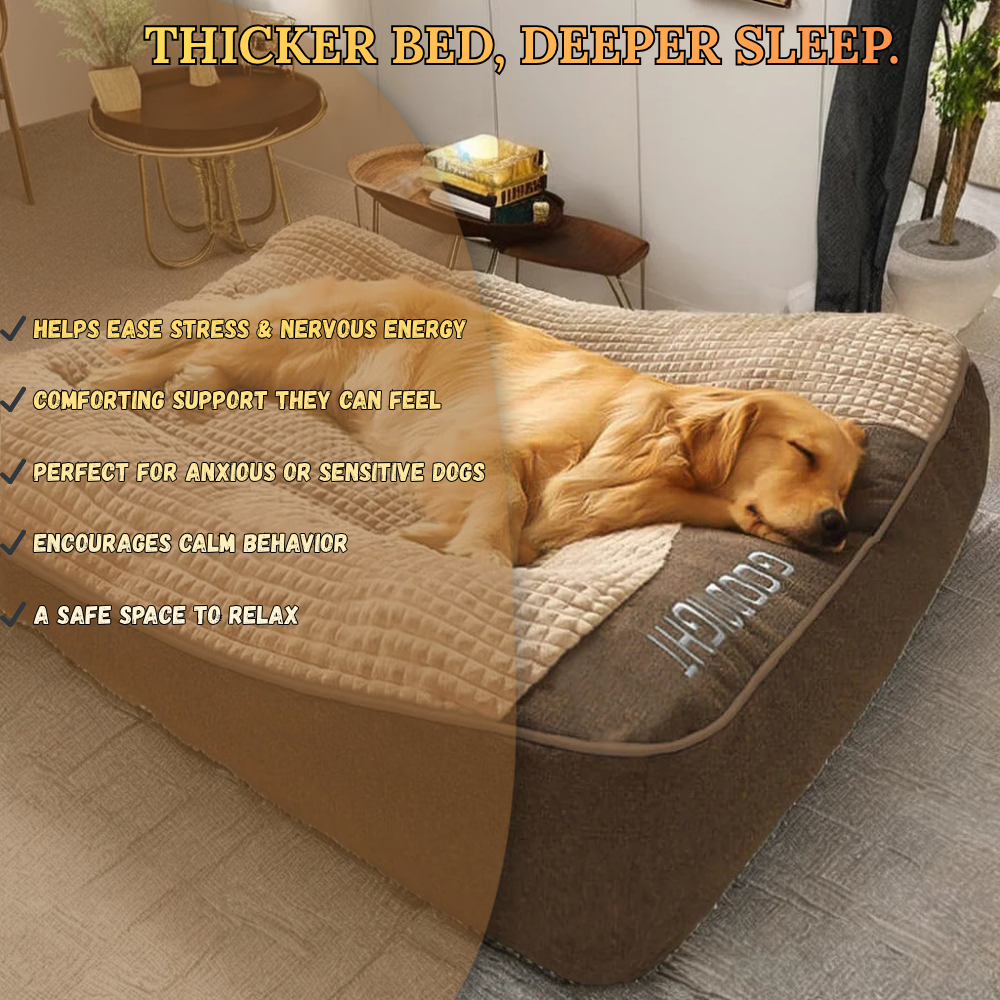 Orthopedic Dog Bed