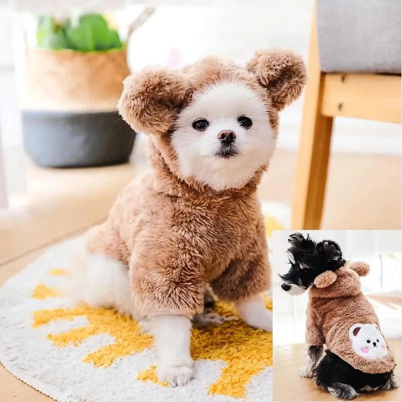 PawtCool Teddy Bear Pet Costume