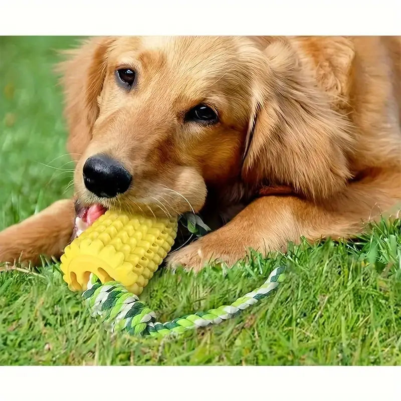 PawtCool Tough Corn Stick Dog Toy – Durable Squeaky Chew Toy for Aggressive Chewers