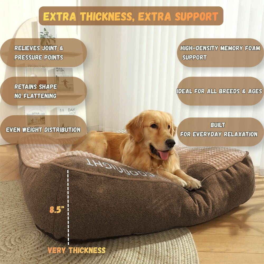 Orthopedic Dog Bed