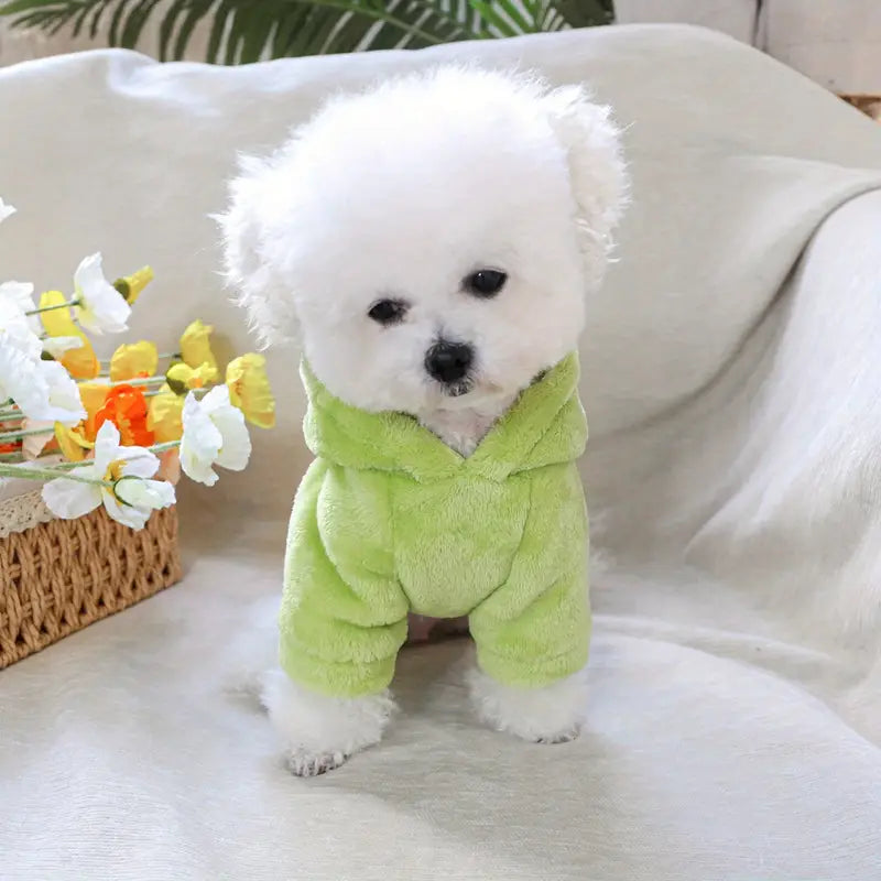 PawtCool Monster Pet Hoodie