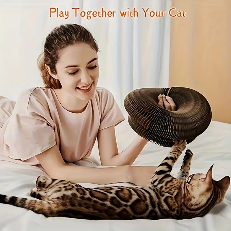 PawtCool Whisker Wonders – Interactive Cardboard Cat Scratching Post Toy