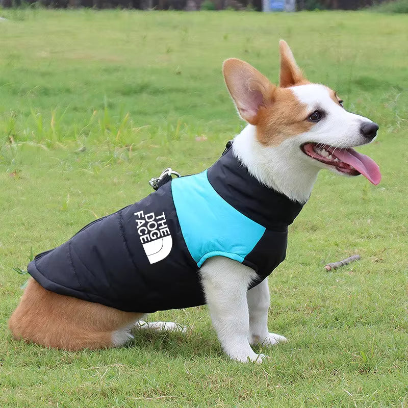 The Dog Face Waterproof Padded Dog Jacket