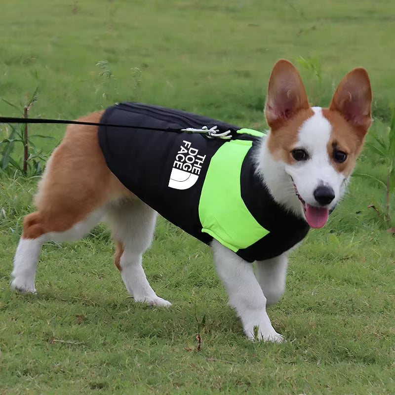 The Dog Face Waterproof Padded Dog Jacket