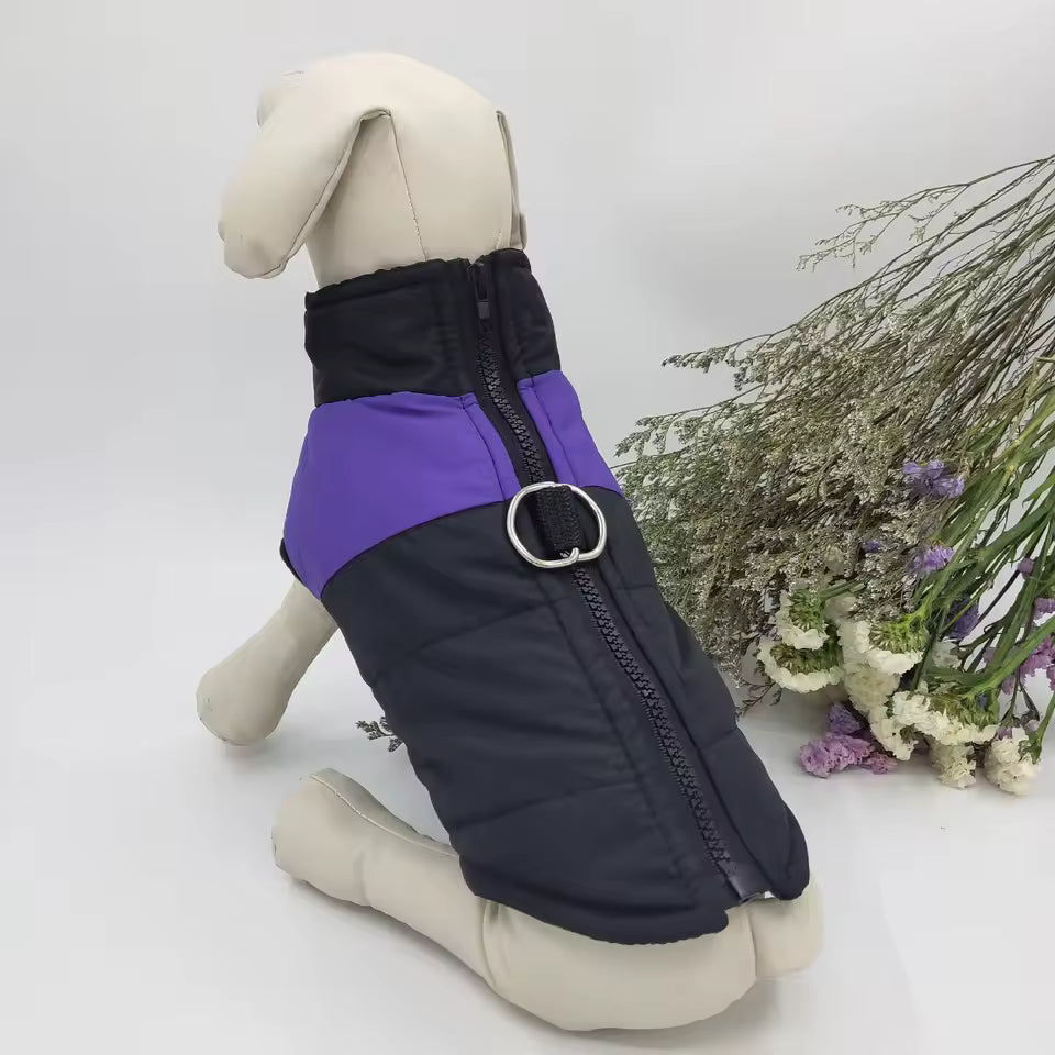 The Dog Face Waterproof Padded Dog Jacket