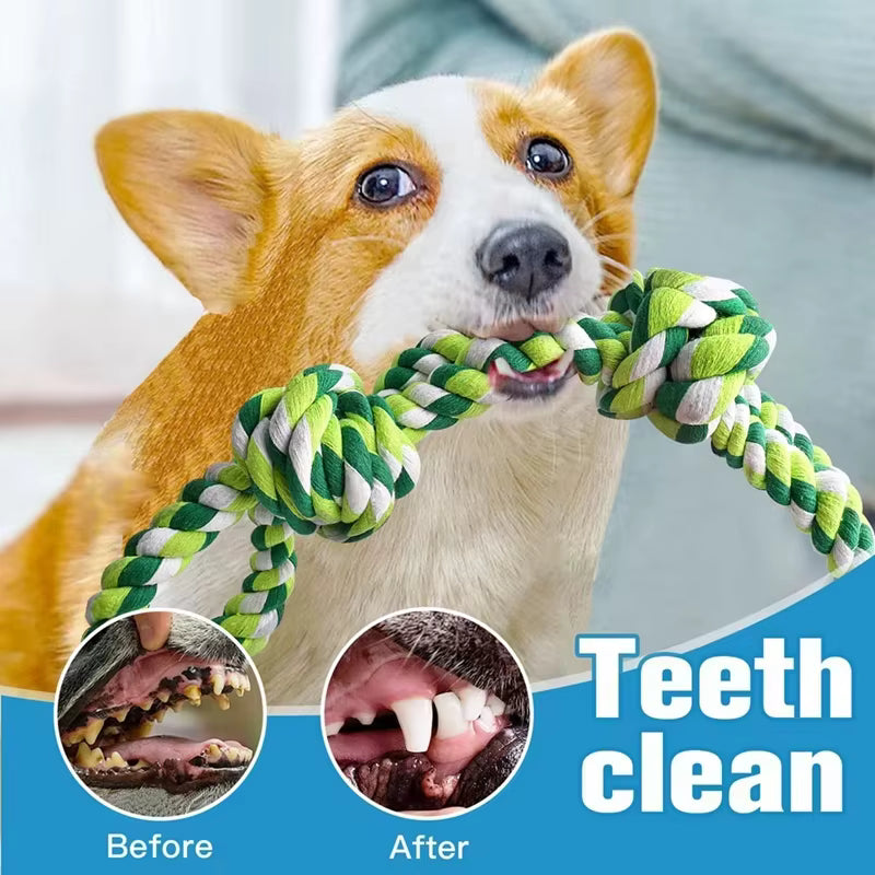 PawtCool Knot Dog Toy – Indestructible Tug-of-War Chew Toy for Medium & Large Dogs