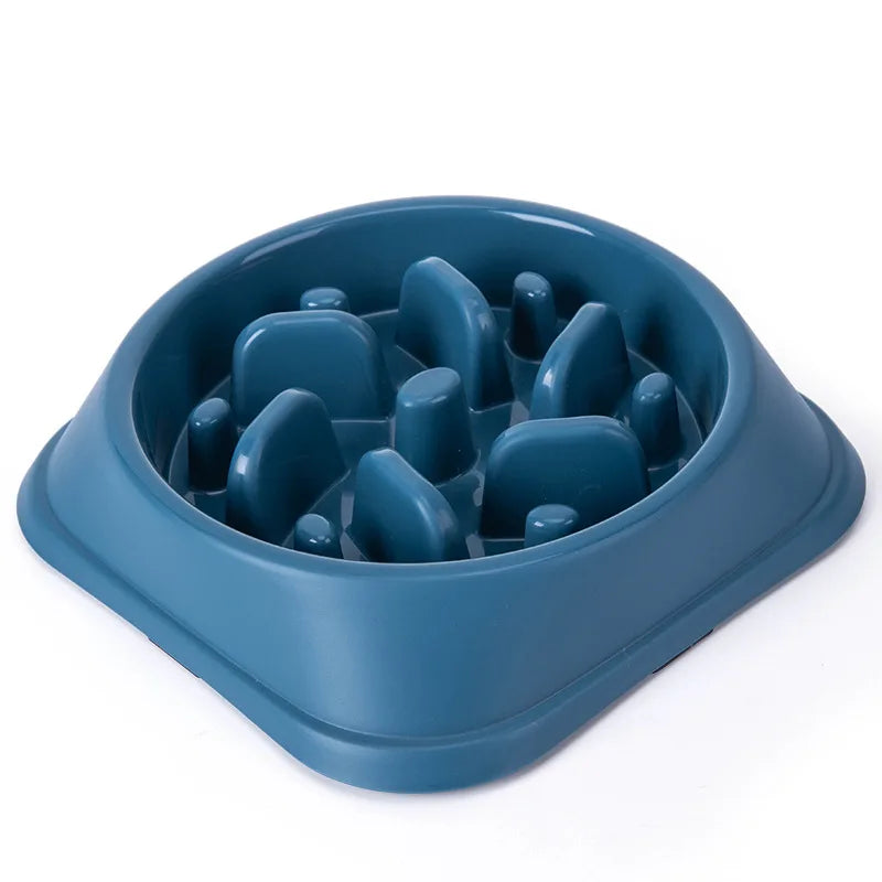 Pet Bowl Slow Feeder Non Slip