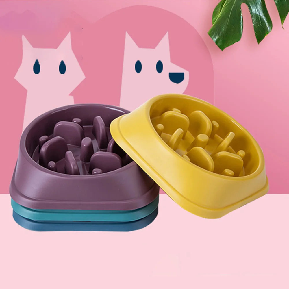 Pet Bowl Slow Feeder Non Slip