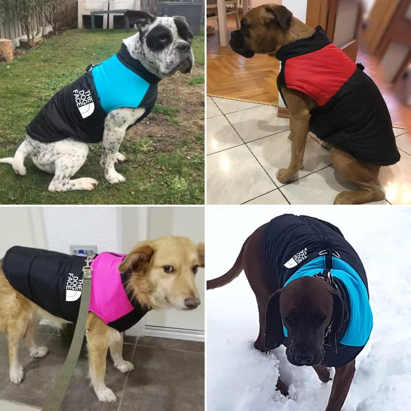 The Dog Face Waterproof Padded Dog Jacket
