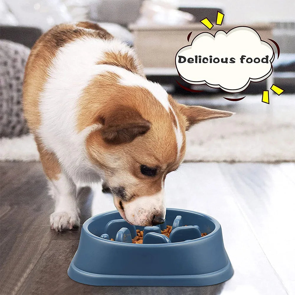 Pet Bowl Slow Feeder Non Slip