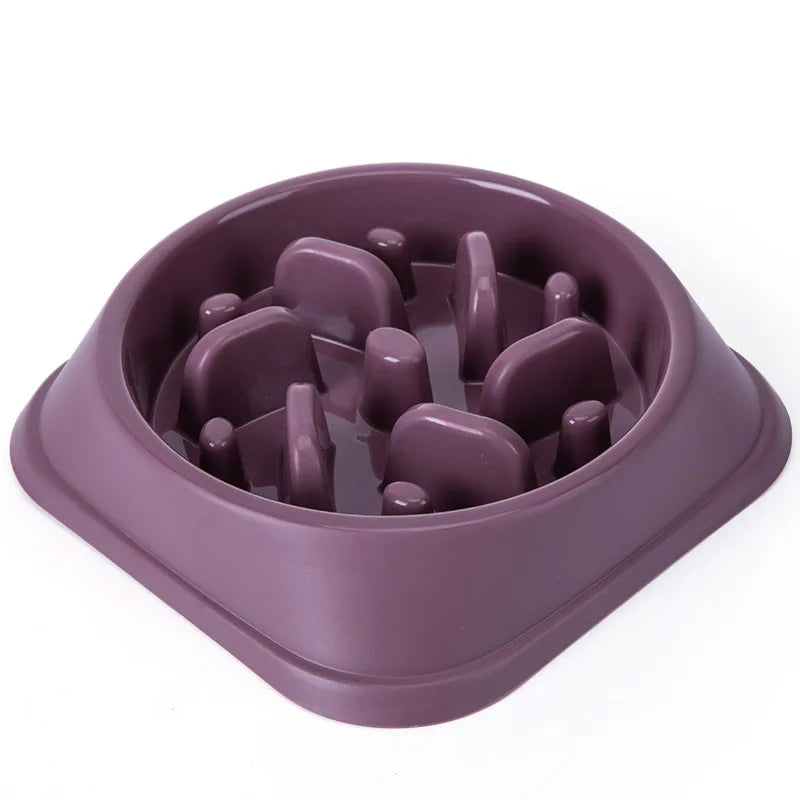 Pet Bowl Slow Feeder Non Slip