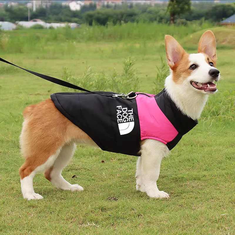 The Dog Face Waterproof Padded Dog Jacket