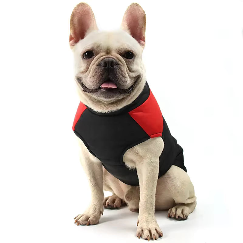 The Dog Face Waterproof Padded Dog Jacket