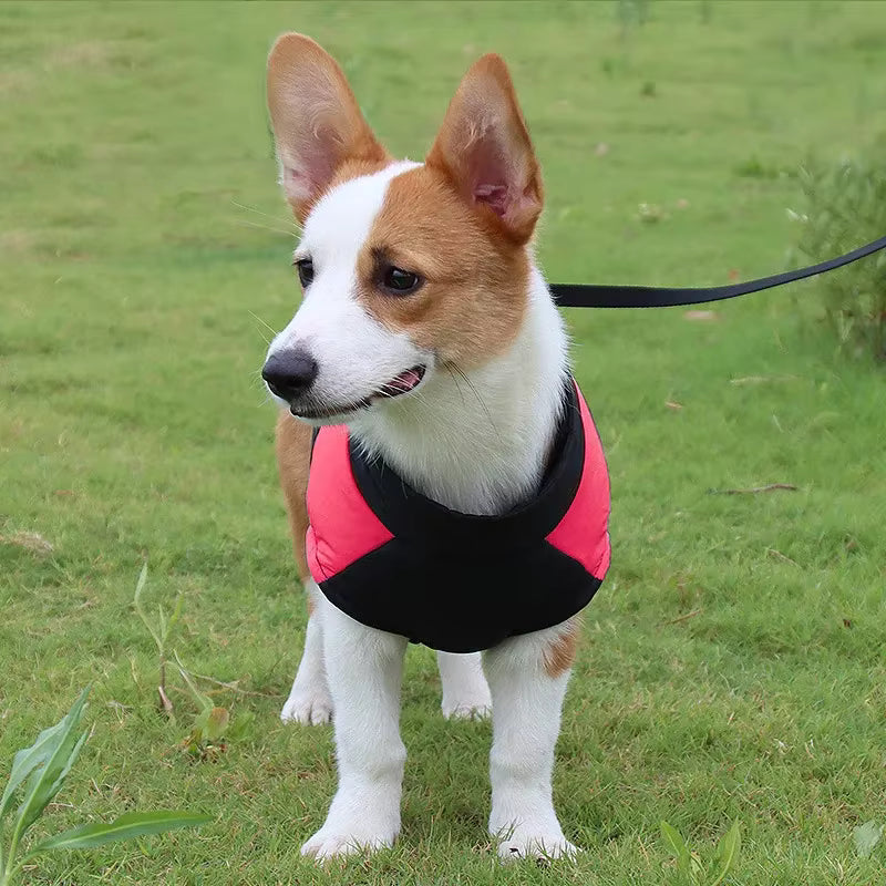 The Dog Face Waterproof Padded Dog Jacket