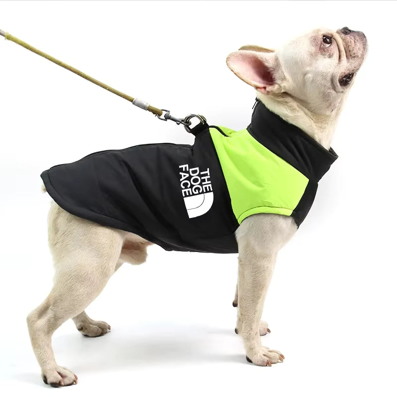 The Dog Face Waterproof Padded Dog Jacket