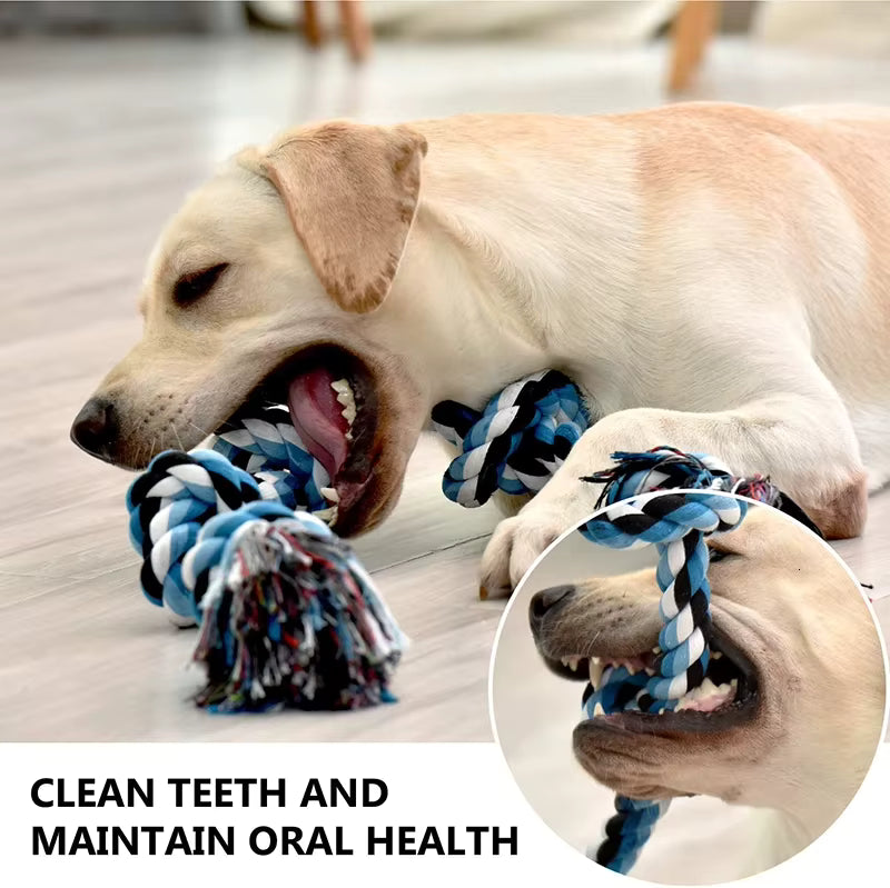PawtCool Knot Dog Toy – Indestructible Tug-of-War Chew Toy for Medium & Large Dogs