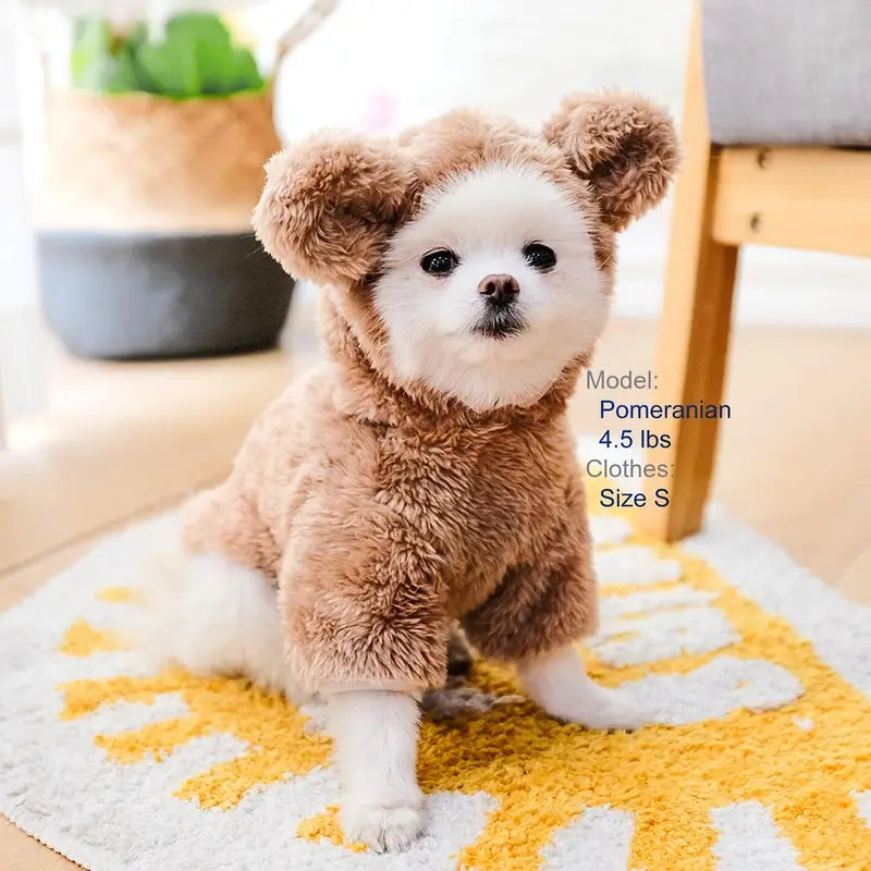 PawtCool Teddy Bear Pet Costume