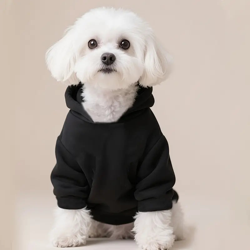 PawtCool Black Pet Hoodie