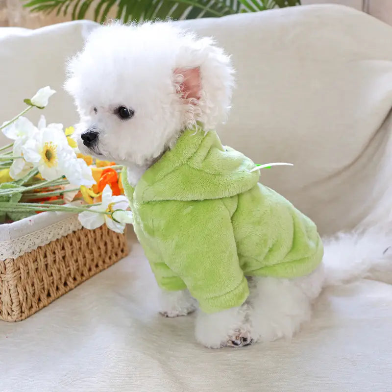 PawtCool Monster Pet Hoodie