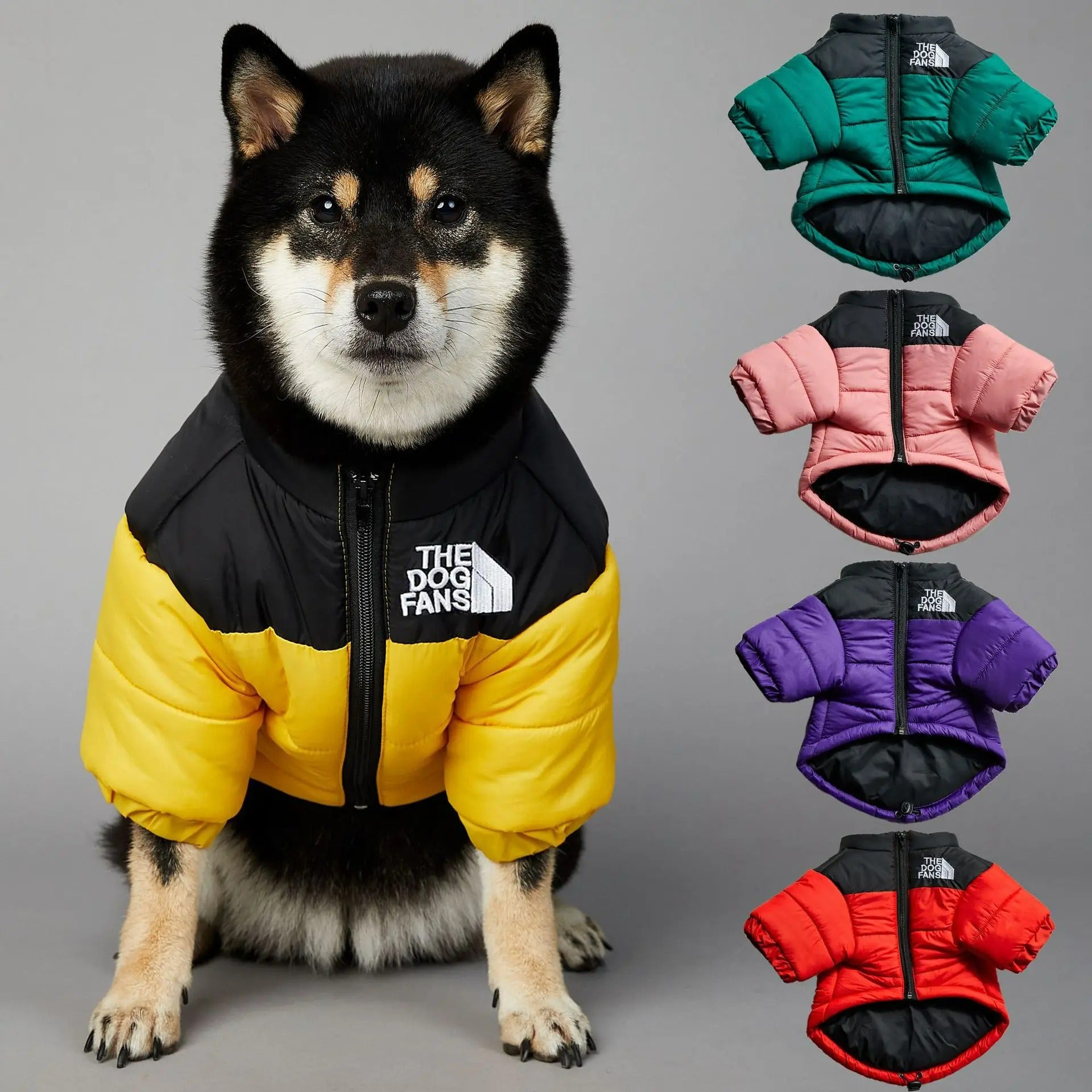 Dog Face Jacket Windproof Raincoat