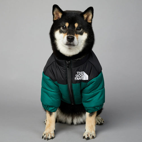 Dog Face Jacket Windproof Raincoat