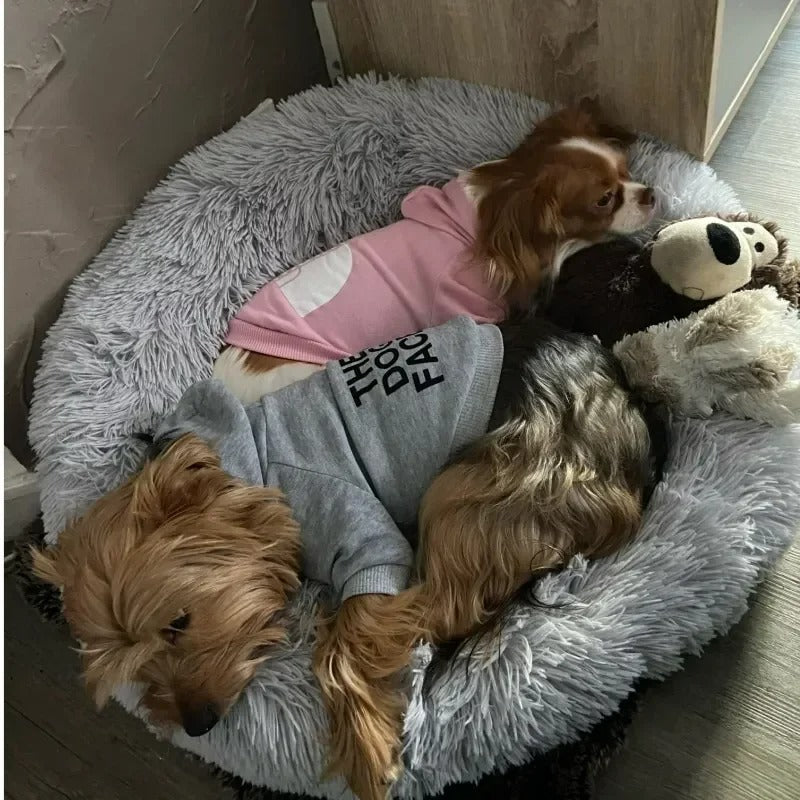 Dog Winter Hoodie