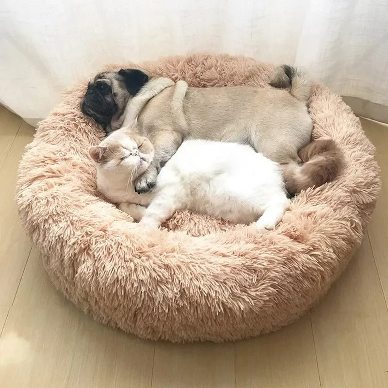 Calming Donut Dog Beds Anti-anxiety comfort solution