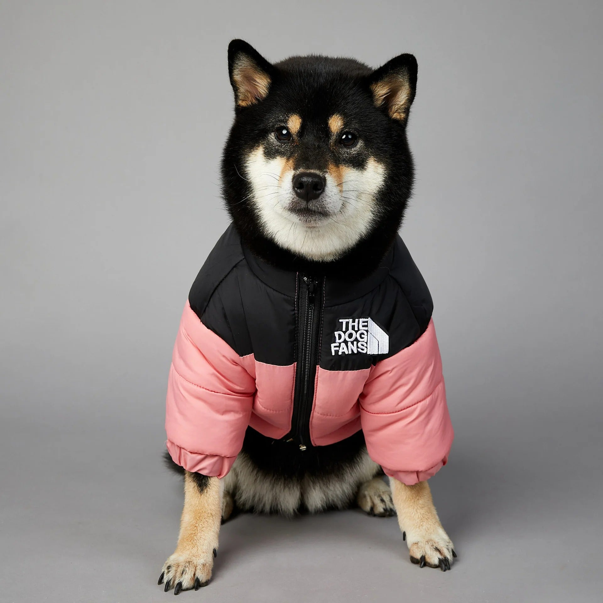 Dog Face Jacket Windproof Raincoat