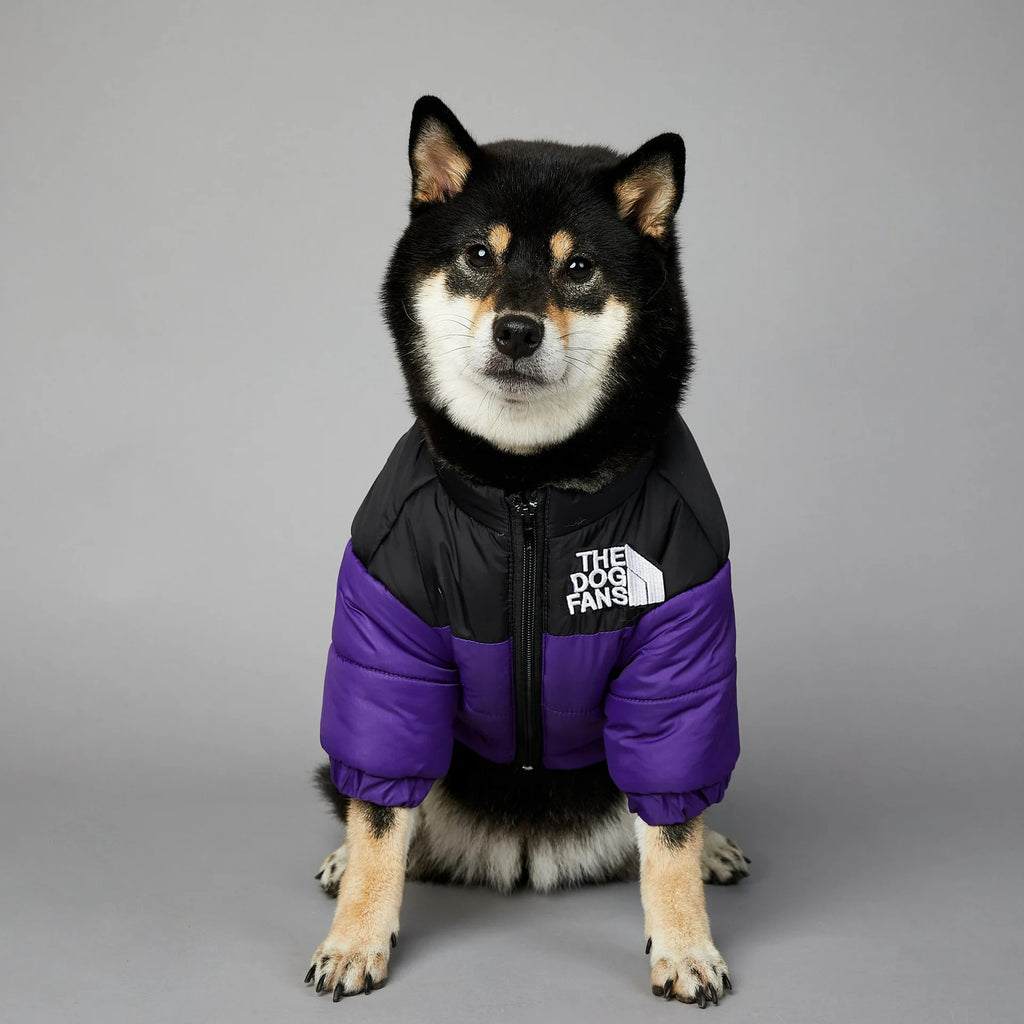 Dog Face Jacket Windproof Raincoat