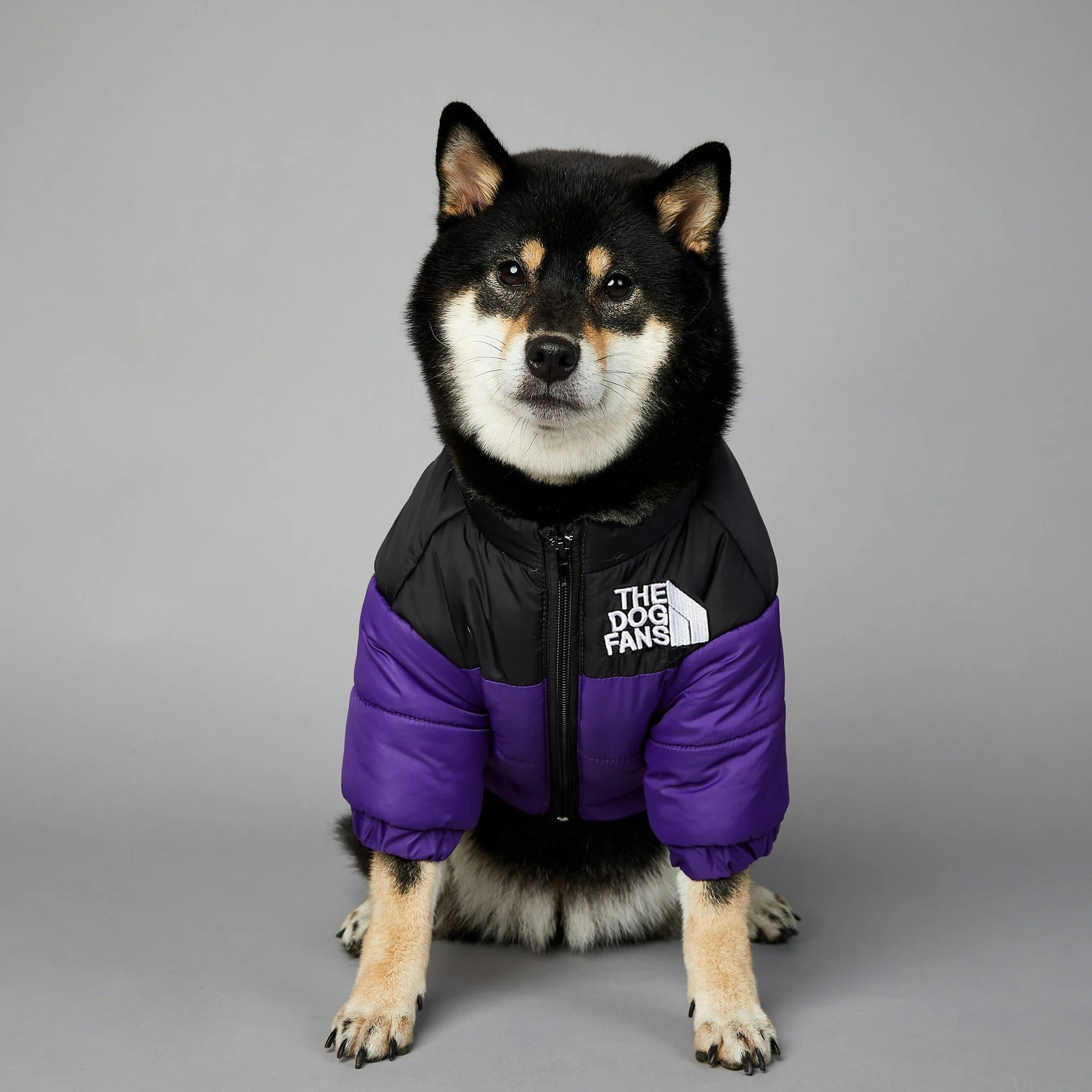 Dog Face Jacket Windproof Raincoat