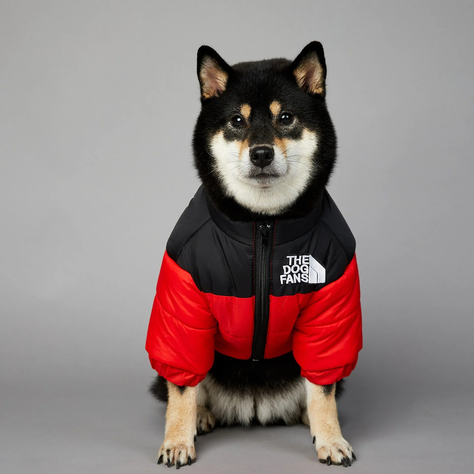 Dog Face Jacket Windproof Raincoat
