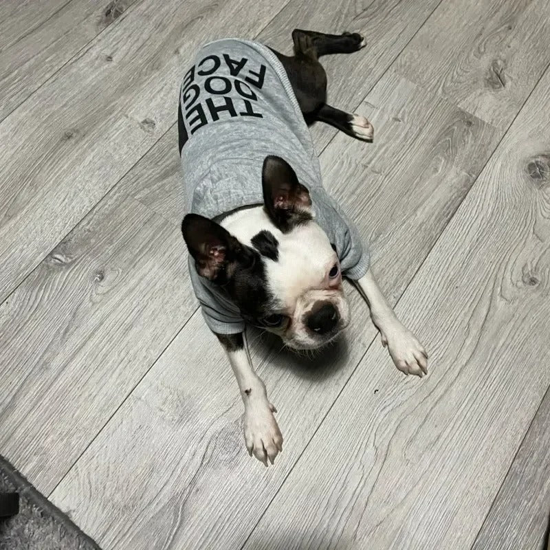Dog Winter Hoodie
